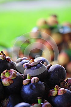 exotic mangostan fruit texture