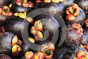 exotic mangostan fruit texture