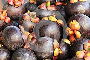 exotic mangostan fruit texture