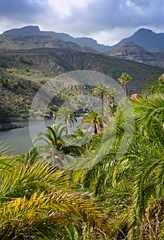 Exotic mountain lake photo