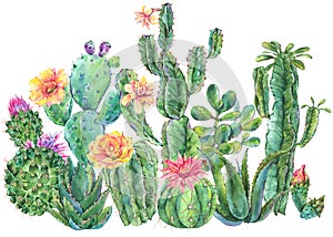 Exotic natural vintage watercolor blooming cactus greeting card