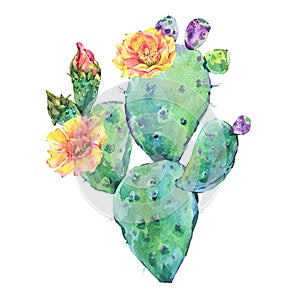 Exotic natural vintage watercolor blooming cactus greeting card