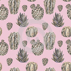 Exotic natural vintage watercolor cactus seamless pattern.