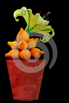 Exotic nipplefruit and large yelloween oriental lily clay pot against dark background