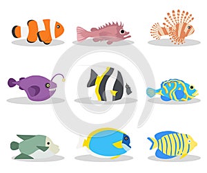 Exotic ocean fish flat vector illustrations set