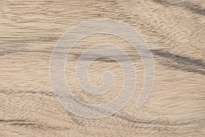 Exotic Palado 2 Wood Background