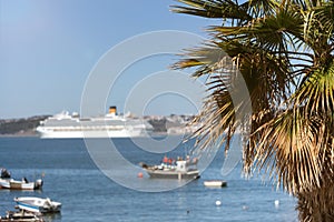 Exotic palm tree in front of a modern cruise ship