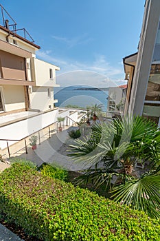 Exotic palm trees in new buildings in Sozopol, Bulgaria