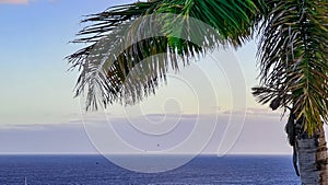 Exotic palm trees with panoramic view on Atlantic Ocean seen from Santa Barbara Gold club, Golf del Sur, Tenerife, Canary Island photo