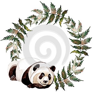 Exotic panda wild animal isolated. Watercolor background illustration set. Frame border ornament square.
