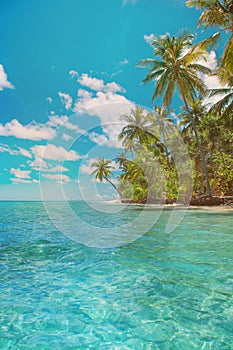 Exotic paradise Maldive resort lagoon bay view