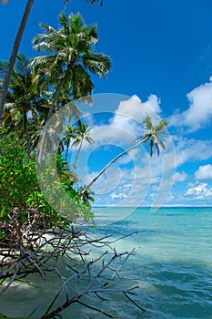 Exotic paradise Maldive resort lagoon bay view