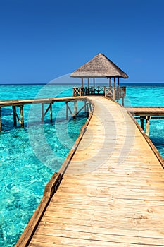Exótico Paraíso. viajar turismo a vacaciones. centro sobre el maldivas isla 
