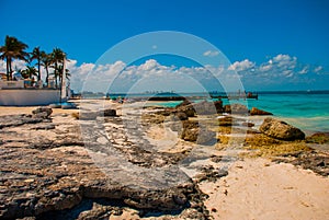 Exotic Paradise. Tropical Resort. Caribbean sea Jetty near Cancun. Mexico beach tropical in Caribbean