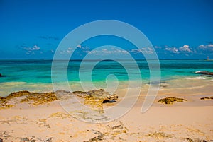 Exotic Paradise. Tropical Resort. Caribbean sea Jetty near Cancun. Mexico beach tropical in Caribbean