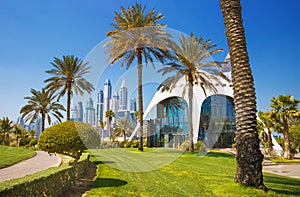 Exotic park with palms and luxury Dubai Marina skyscrapers,Dubai,United Arab Emirates