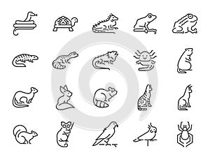 Exotic pet icon set. It included the turtle, frog, lizard and more icons.