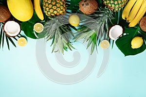 Exotic pineapples, ripe coconuts, banana, melon, lemon, tropical palm and green monstera leaves on blue background with