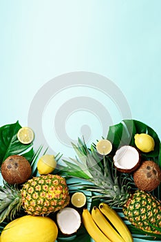 Exotic pineapples, ripe coconuts, banana, melon, lemon, tropical palm and green monstera leaves on blue background with