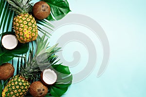 Exotic pineapples, ripe coconuts, tropical palm and green monstera leaves on blue background with copyspace for your