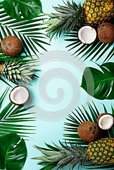Exotic pineapples, ripe coconuts, tropical palm and green monstera leaves on blue background with copyspace for your