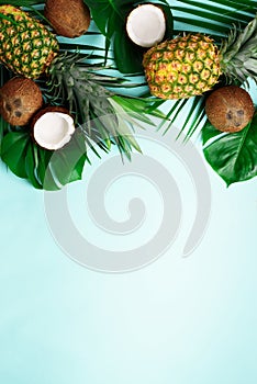 Exotic pineapples, ripe coconuts, tropical palm and green monstera leaves on blue background with copyspace for your