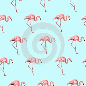 Exotic pink flamingo bird on blue seamless pattern