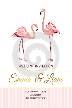 Exotic pink flamingo birds couple wedding invite