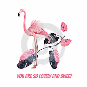 Exotic pink flamingo birds with leaves branch and motivational phrase. T-short print.