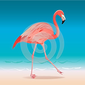 Exotic pink flamingo walking on the hot summer beach. Pink flamingo vector illustration.