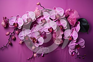 Exotic Pink orchids flowers. Generate Ai