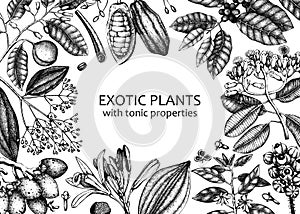 Exotic plants background with  hand- sketched contour lines on chalkboard. Realistic vector illustration in vintage style.