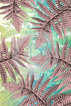 Exotic plants, brown fern leaves background