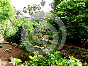 Exotic plants garden at palmitos park gran canaria, spain