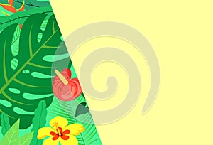 Exotic plants and leaves vector banner template for summer