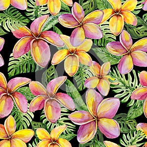 Exotic plumeria flowers and green monstera leaves on black background. Seamless tropical pattern in vivid colors.