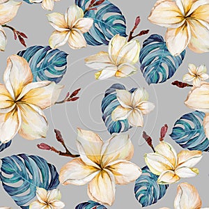 Exotic plumeria flowers and green monstera leaves on gray background in seamless tropical pattern. Watercolor painting.