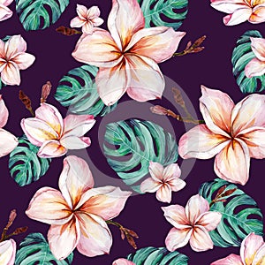 Exotic plumeria flowers and green monstera leaves in seamless tropical pattern. Deep purple background, vivid colors.