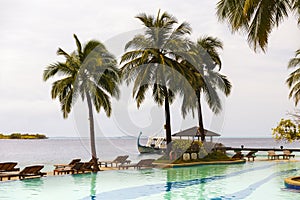 Exotic pool with a beautiful view ocean