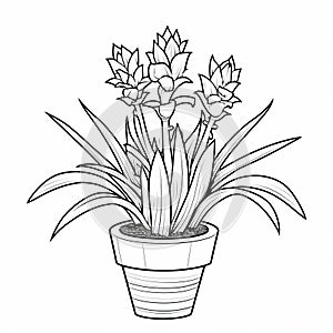 Exotic Potted Plant Coloring Page With Symmetrical Arrangement