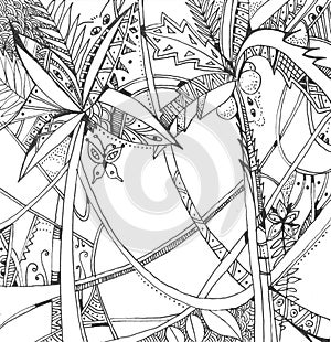 Exotic rain forest. Black and white hand drawn stylized picture