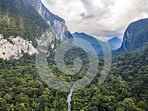 Exotic rainforest landscape from gunung mulu national park borneo malaysia