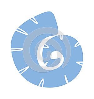 Exotic sea shell boho design