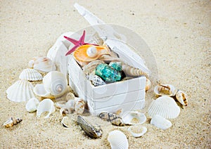 The exotic sea shell .