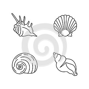 Exotic sea shells pixel perfect linear icons set