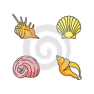 Exotic sea shells RGB color icons set