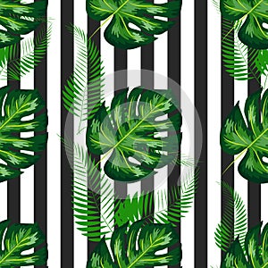 exotic seamless pattern with monstera palm leaves. Tropical hawaiian textile botanical design. Floral backdrop on the