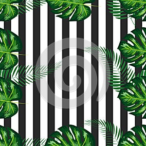 exotic seamless pattern with monstera palm leaves. Tropical hawaiian textile botanical design. Floral backdrop on the