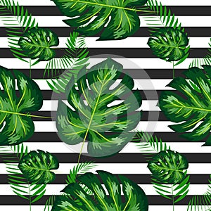 exotic seamless pattern with monstera palm leaves. Tropical hawaiian textile botanical design. Floral backdrop on the