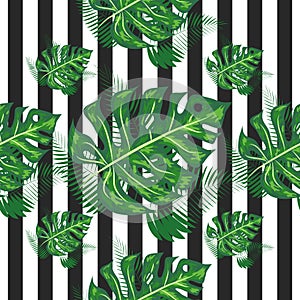 exotic seamless pattern with monstera palm leaves. Tropical hawaiian textile botanical design. Floral backdrop